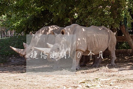 捷信逾期10个月 捷信逾期10个月