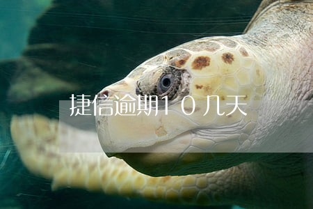 捷信逾期10几天 捷信逾期10几天