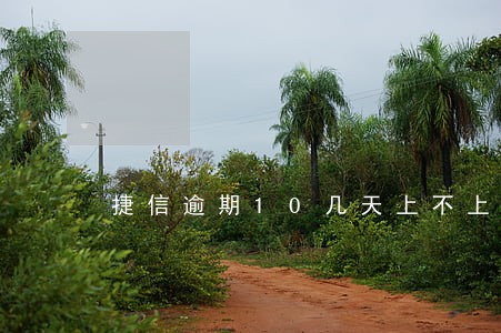 捷信逾期10几天上不上征信 捷信逾期10几天上不上征信