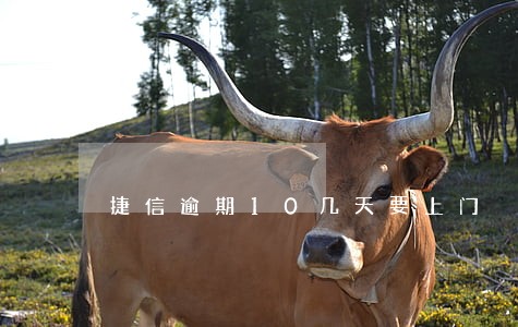 捷信逾期10几天要上门 捷信逾期10几天要上门