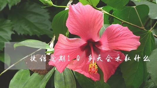 捷信逾期10多天会采取什么 捷信逾期10多天会采取什么