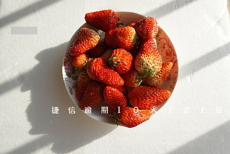 捷信逾期10天了会上征信吗 捷信逾期10天了会上征信吗