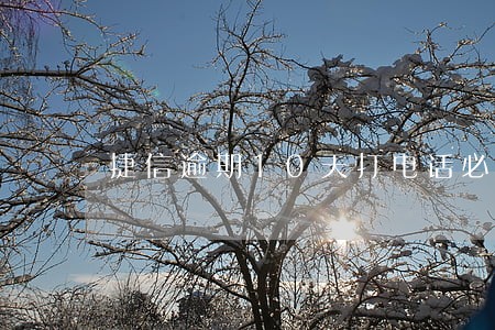 捷信逾期10天打电话必须还 捷信逾期10天打电话必须还