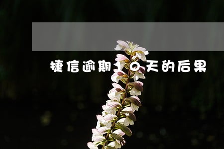 捷信逾期10天的后果 捷信逾期10天的后果