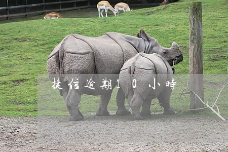 捷信逾期10小时