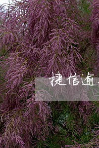 捷信逾期10日怎么扣利息 捷信逾期10日怎么扣利息