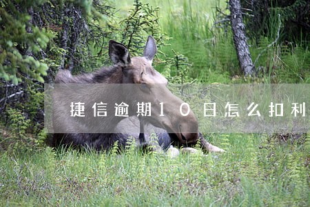 捷信逾期10日怎么扣利息吗 捷信逾期10日怎么扣利息吗