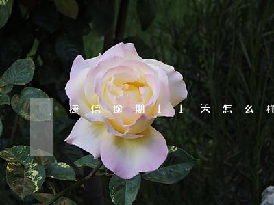 捷信逾期11天怎么样 捷信逾期11天怎么样