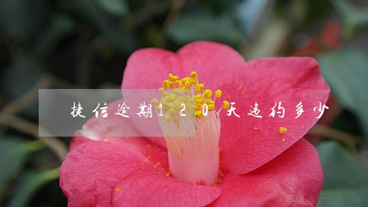 捷信逾期120天违约多少 捷信逾期120天违约多少