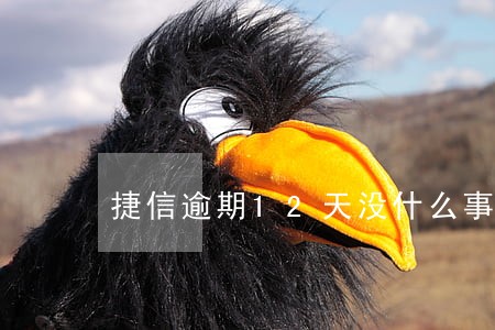 捷信逾期12天没什么事啊 捷信逾期12天没什么事啊