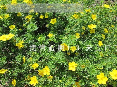 捷信逾期13天上门了