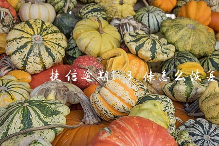 捷信逾期13条怎么恢复 捷信逾期13条怎么恢复