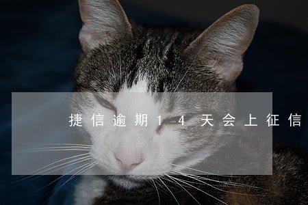 捷信逾期14天会上征信吗 捷信逾期14天会上征信吗