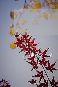 捷信逾期14年可以分期吗 捷信逾期14年可以分期吗