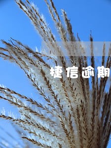 捷信逾期15000会不会坐牢