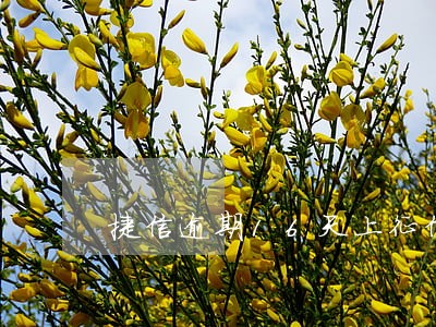 捷信逾期16天上征信吗 捷信逾期16天上征信吗