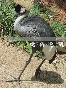 捷信逾期173元怎么算 捷信逾期173元怎么算