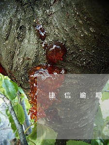 捷信逾期180天怎么处理 捷信逾期180天怎么处理