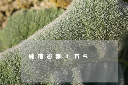 捷信逾期1万5 捷信逾期1万5