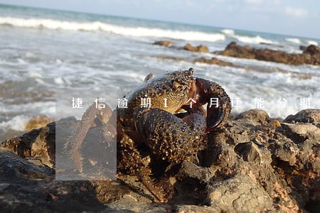 捷信逾期1个月还能分期嘛 捷信逾期1个月还能分期嘛