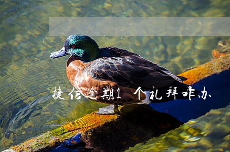 捷信逾期1个礼拜咋办 捷信逾期1个礼拜咋办