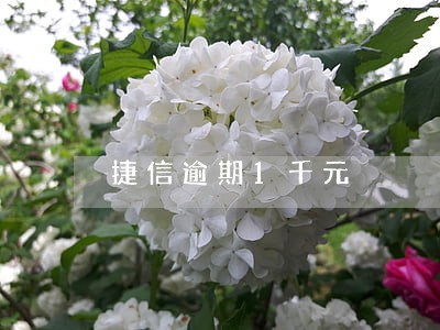 捷信逾期1千元 捷信逾期1千元
