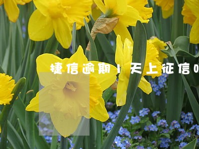 捷信逾期1天上征信吗 捷信逾期1天上征信吗