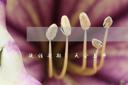 捷信逾期1天会怎样 捷信逾期1天会怎样