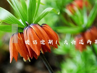 捷信逾期1天会还两期吗 捷信逾期1天会还两期吗