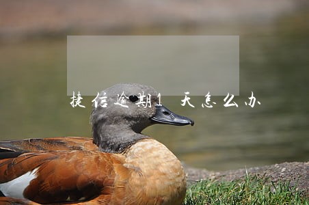捷信逾期1天怎么办 捷信逾期1天怎么办