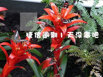 捷信逾期1天没事吧