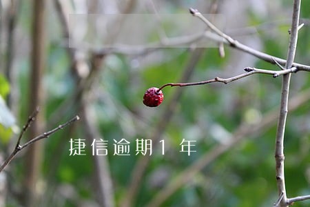 捷信逾期1年 捷信逾期1年