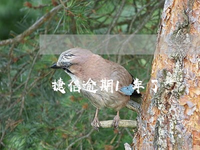 捷信逾期1年了 捷信逾期1年了