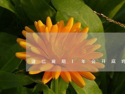捷信逾期1年会开庭吗 捷信逾期1年会开庭吗