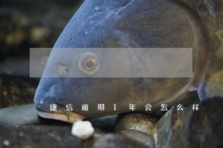 捷信逾期1年会怎么样 捷信逾期1年会怎么样