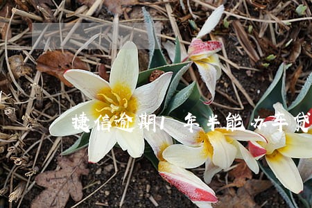 捷信逾期1年半能办车贷 捷信逾期1年半能办车贷