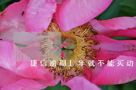捷信逾期1年就不能买动车票了吗 捷信逾期1年就不能买动车票了吗