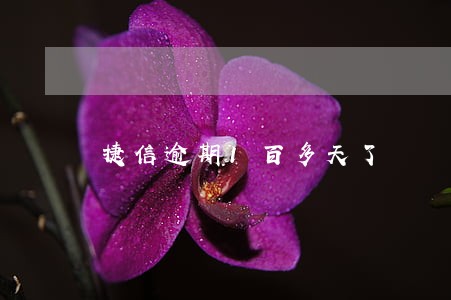 捷信逾期1百多天了 捷信逾期1百多天了