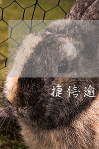 捷信逾期200天一直打电话 捷信逾期200天一直打电话