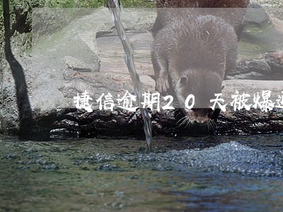 捷信逾期20天被爆通信录 捷信逾期20天被爆通信录