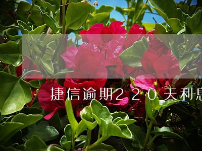 捷信逾期220天利息多少
