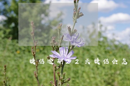 捷信逾期22天捷信会怎么样 捷信逾期22天捷信会怎么样
