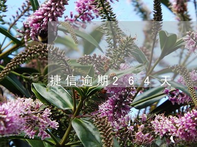 捷信逾期264天
