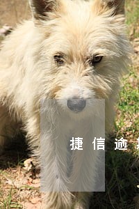 捷信逾期27个月 捷信逾期27个月