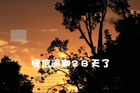 捷信逾期28天了 捷信逾期28天了