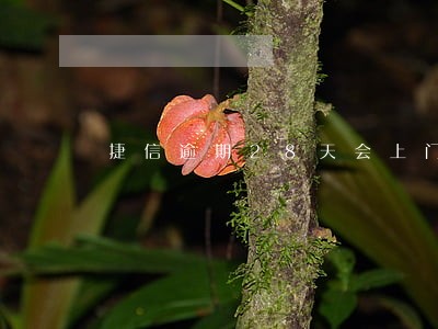 捷信逾期28天会上门吗 捷信逾期28天会上门吗