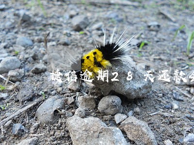 捷信逾期28天还款会上门吗 捷信逾期28天还款会上门吗