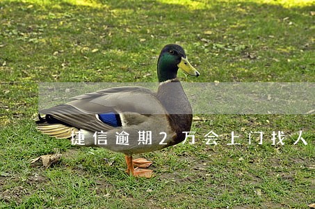 捷信逾期2万会上门找人吗 捷信逾期2万会上门找人吗