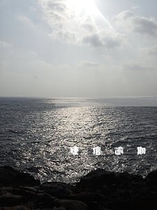 捷信逾期2万利息 捷信逾期2万利息