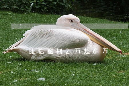 捷信逾期2万超6万